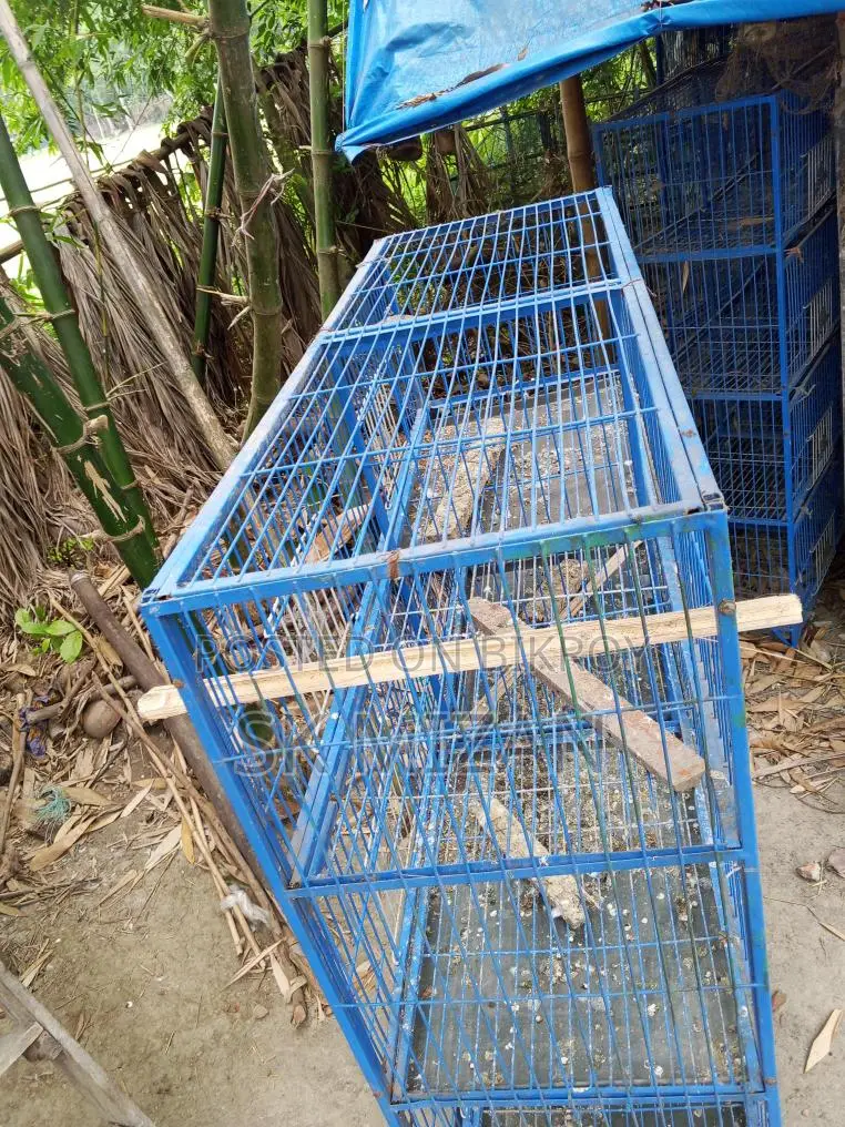 8-Compartment 3-Piece Cage