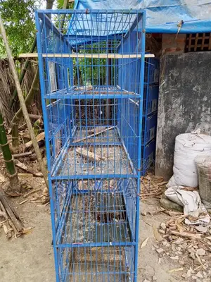 8-Compartment 3-Piece Cage