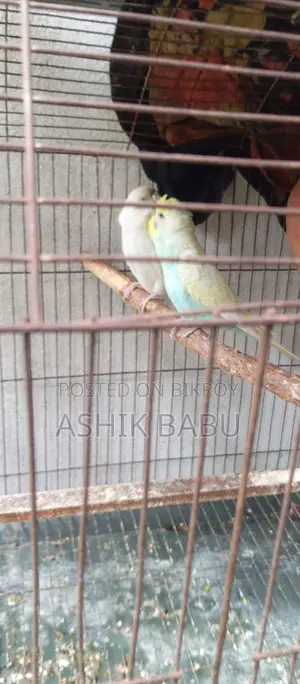 Urgent Sale