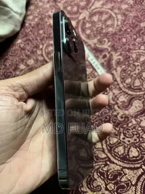Apple iPhone 13 Pro (Used)