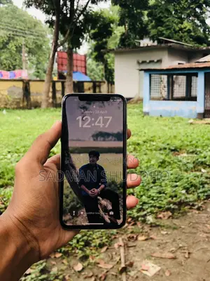 Apple iPhone X (Used)