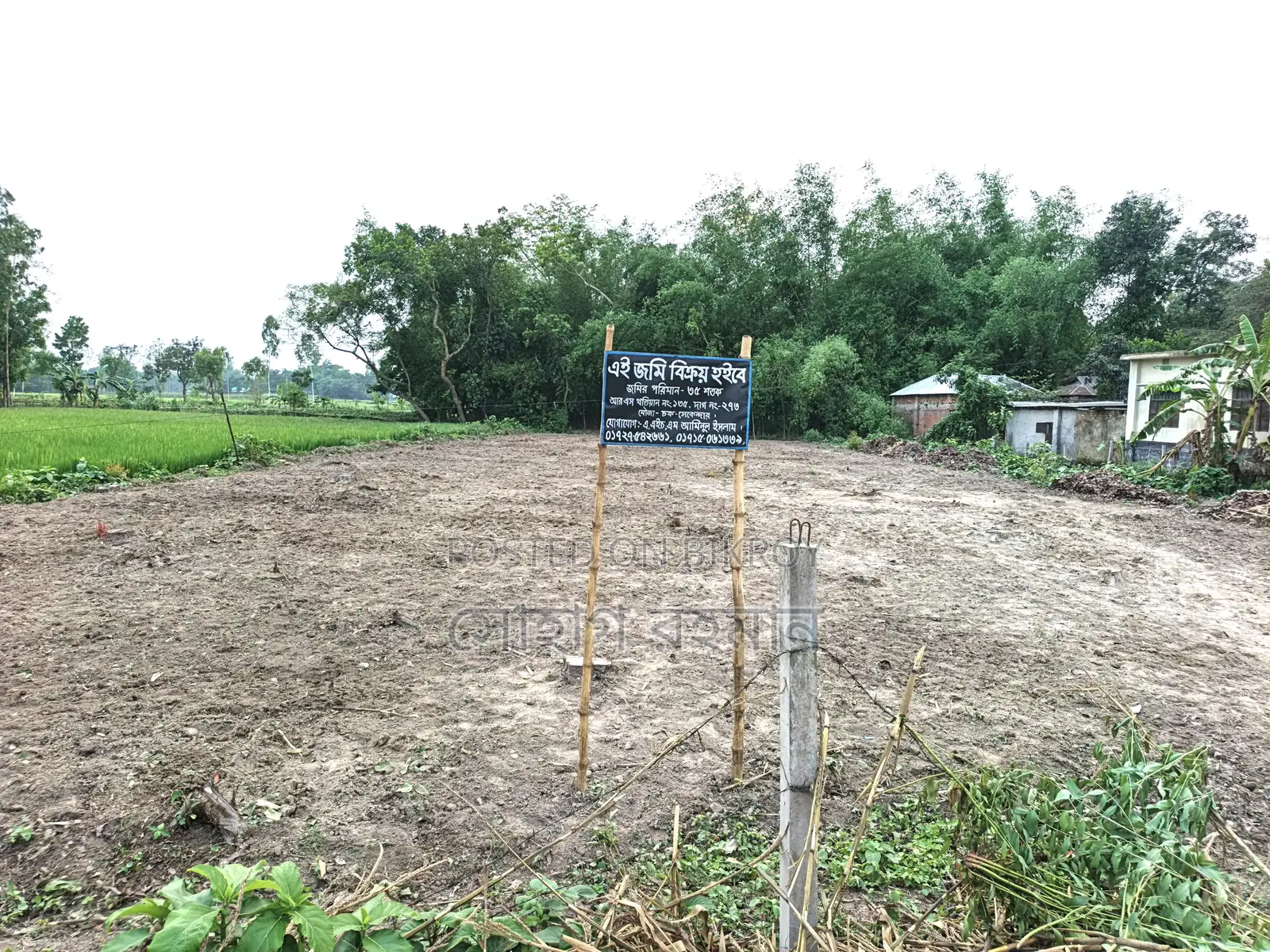 পাঁচ মাইল জামে মসজিদ থেকে ৫০০ গজ দূরে,