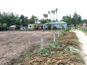 পাঁচ মাইল জামে মসজিদ থেকে ৫০০ গজ দূরে,