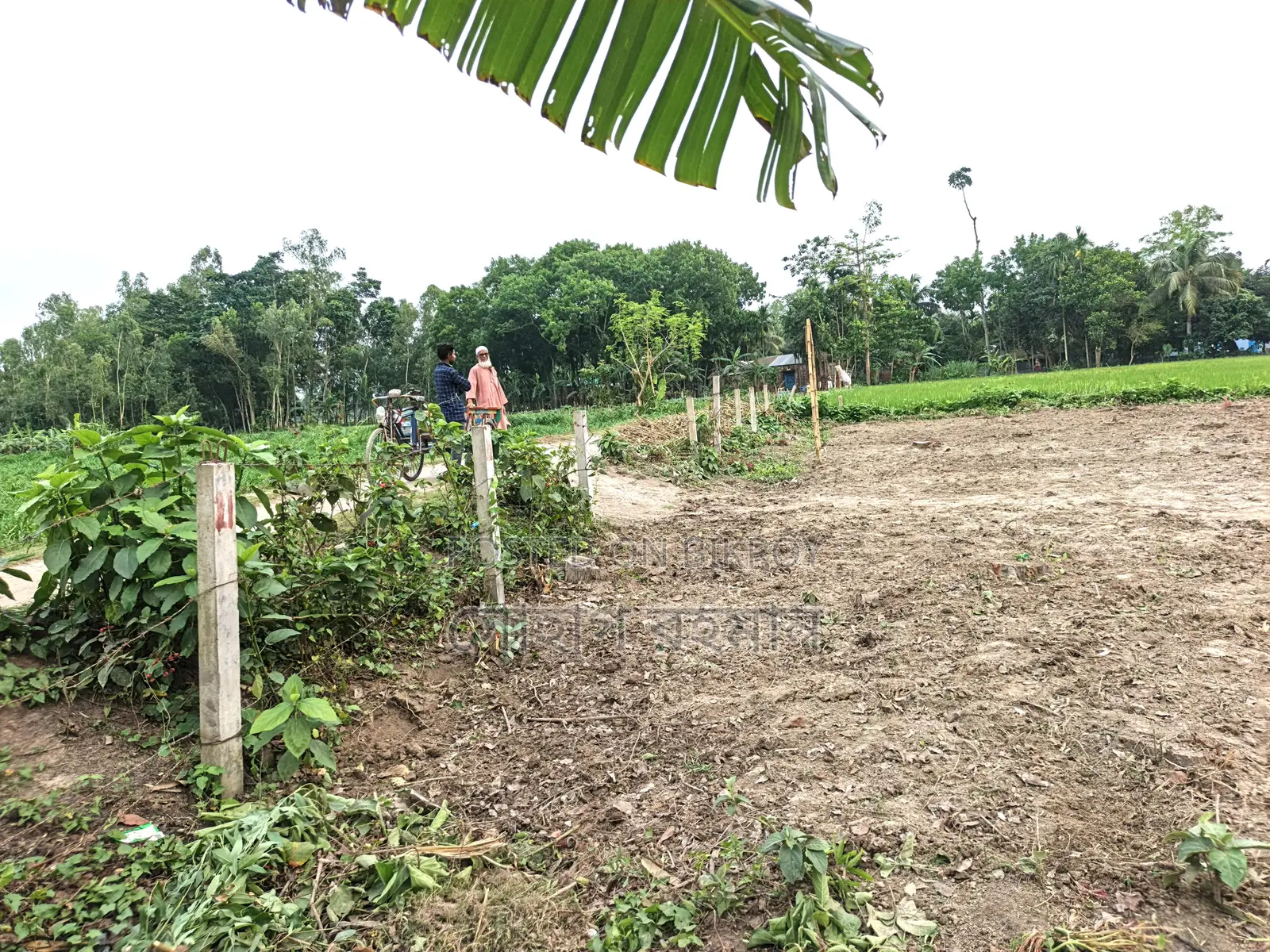 পাঁচ মাইল জামে মসজিদ থেকে ৫০০ গজ দূরে,