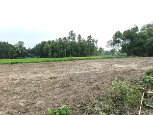পাঁচ মাইল জামে মসজিদ থেকে ৫০০ গজ দূরে,