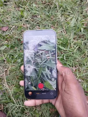 Apple iPhone 14 Pro 256 (Used)