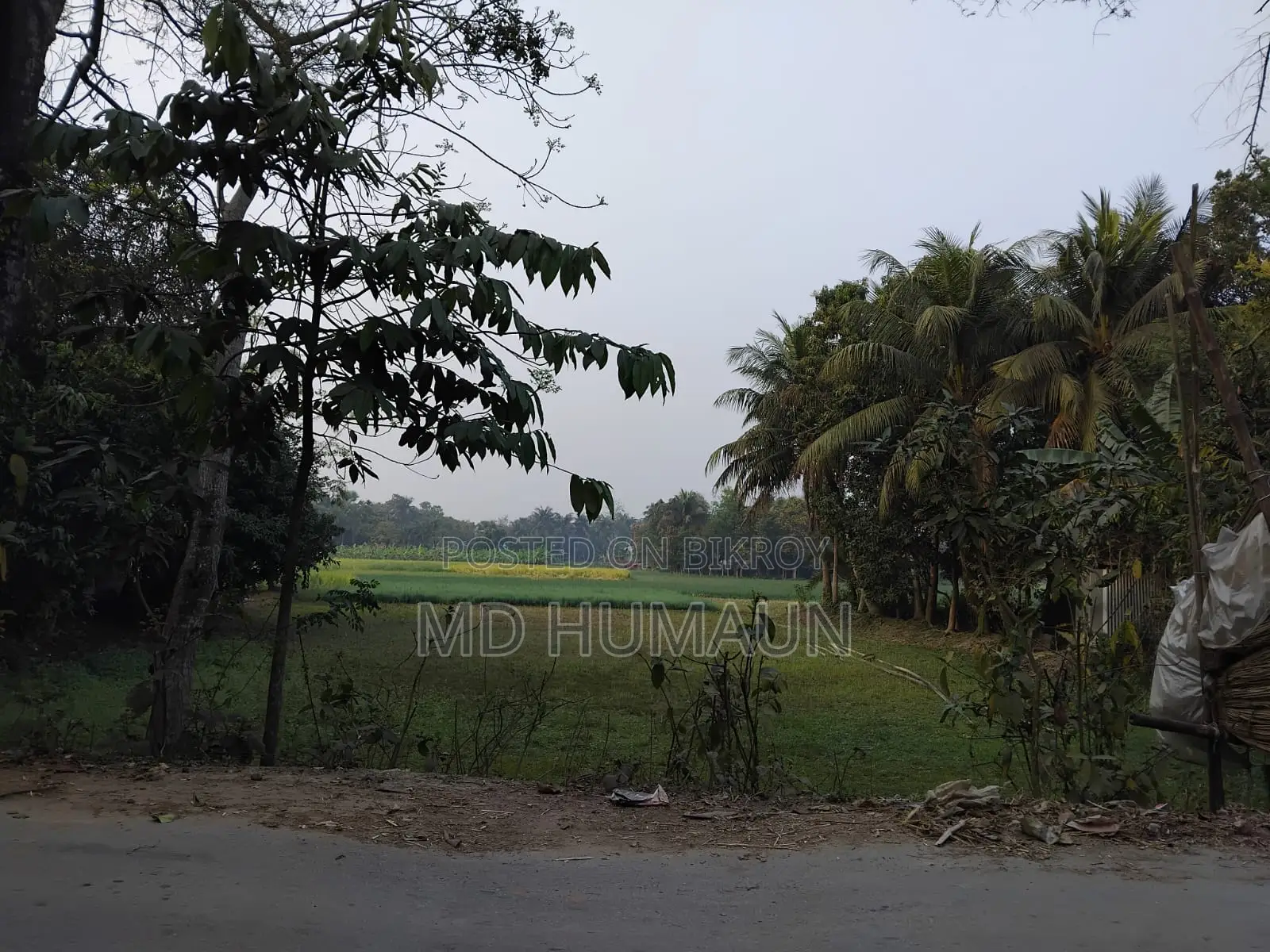 Land for Sale