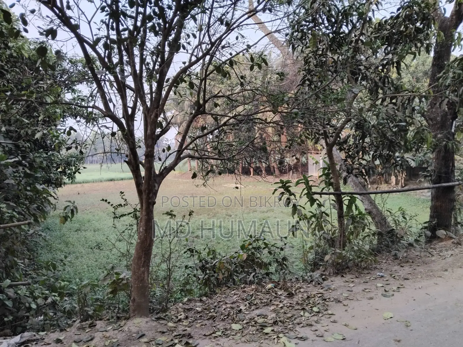 Land for Sale