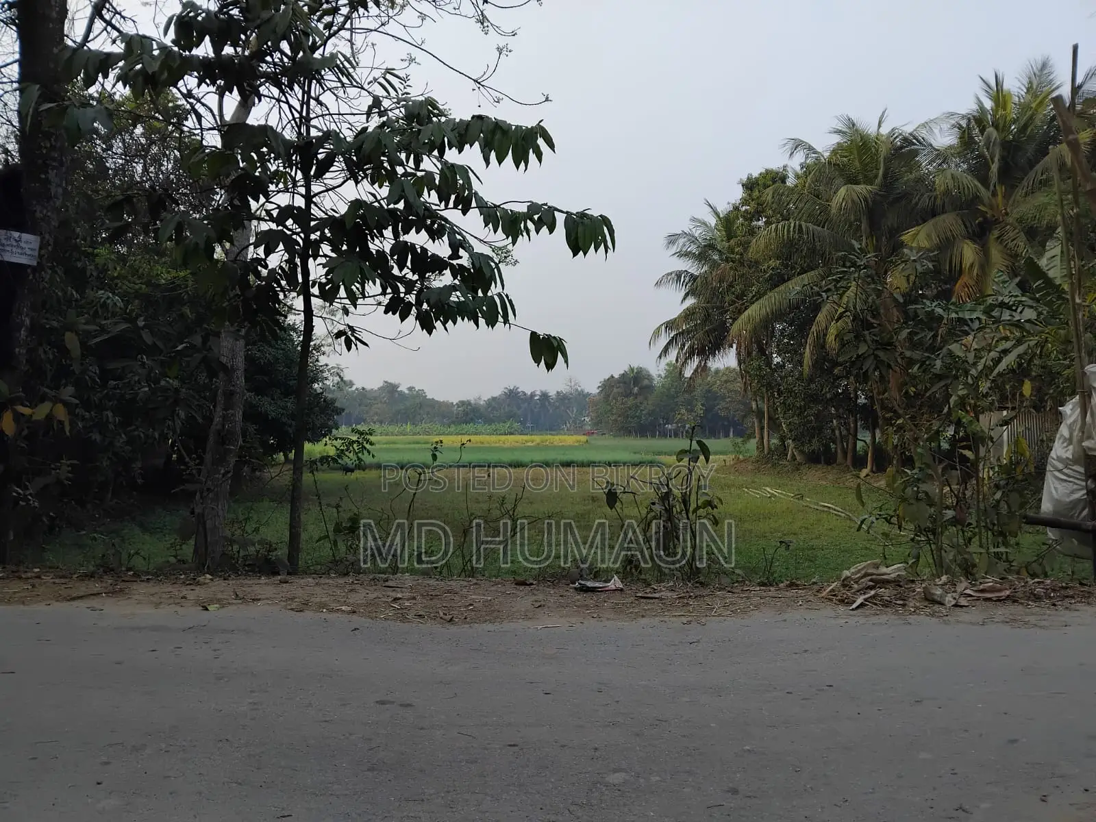 Land for Sale