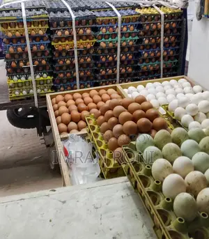 ডিমের দোকানে চাকরি