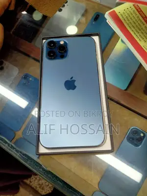 Apple iPhone 12 Pro Max (Used)