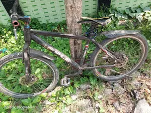 Running Cycle