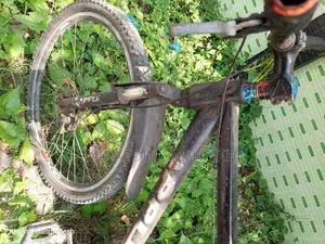 Running Cycle
