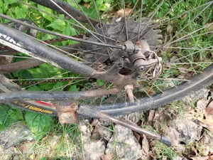 Running Cycle