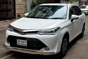 Toyota Axio X LPG 2015