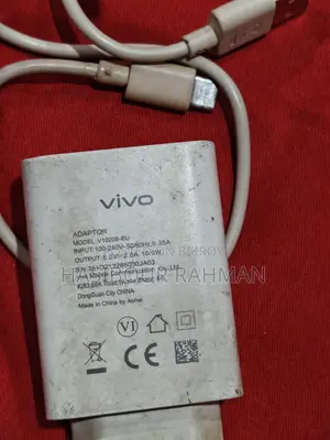 Vivo chargers
