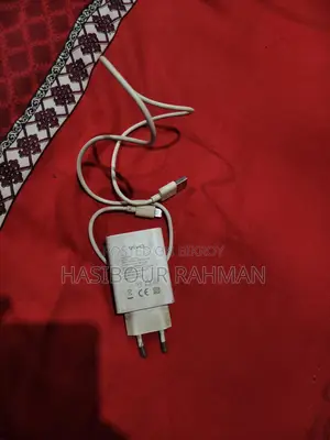 Vivo chargers
