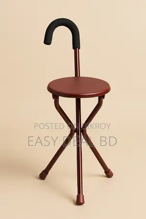 Folding Walking Stick Chair With Seat