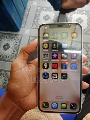 Apple iPhone 12 (Used)
