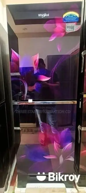 257 Liters Inverter Fridge