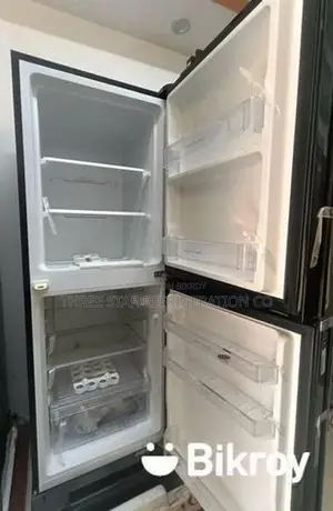257 Liters Inverter Fridge