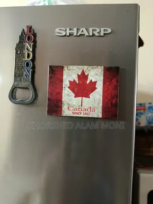 Brand Name Double Door Fridge for Sale (650 Liters)