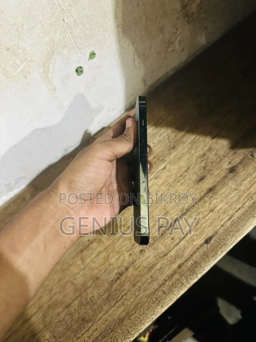 Apple iPhone 13 Pro (Used)