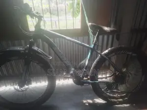 Bicycle for Sale