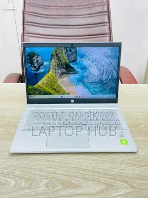 Pavilion 14|i7 -10 Gen|14“ FHD|2 GB Dedicated Graphics |14“ FHD Display