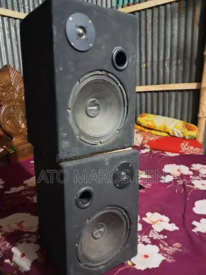 ১০ ইঞ্চি ২টা স্পিকার আর মেশিন