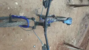 Bicycle for Sale