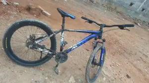 Bicycle for Sale