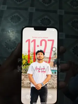 Apple iPhone 13 Pro Max (Used)