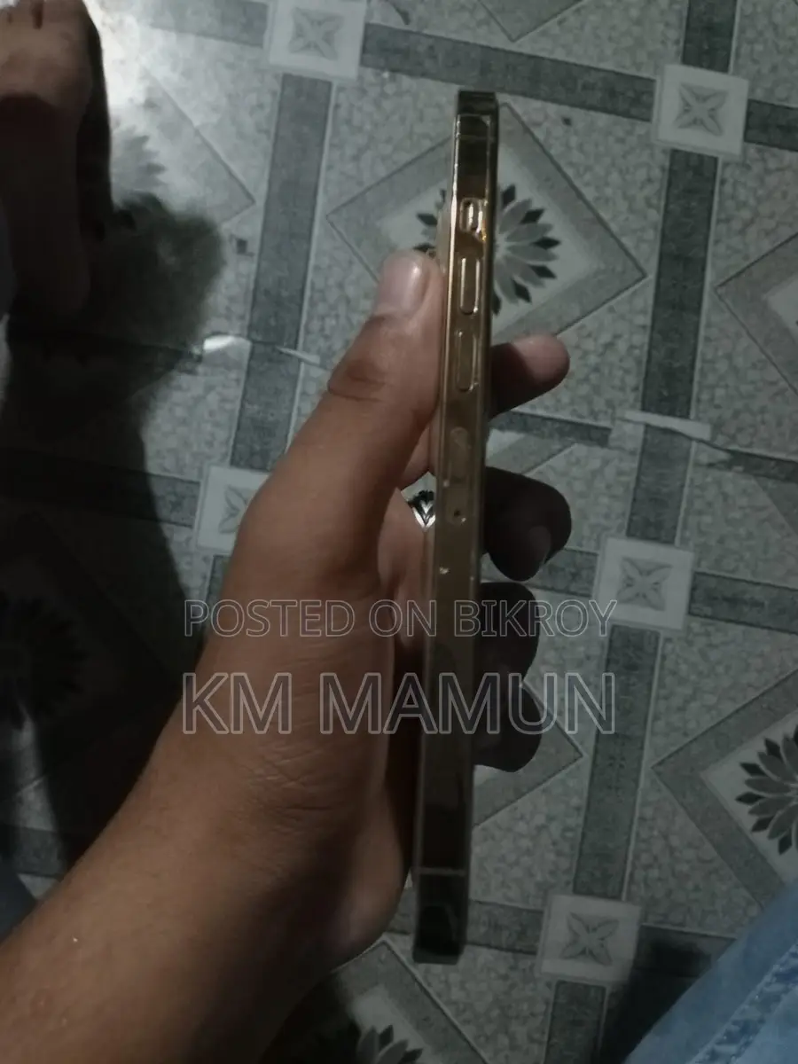 Apple iPhone 13 Pro Max (Used)