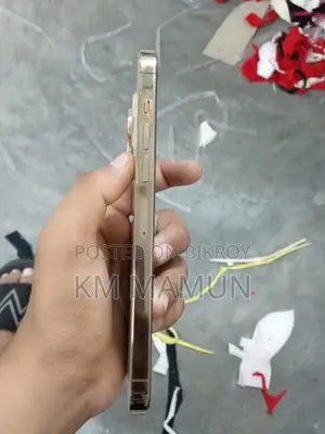 Apple iPhone 13 Pro Max (Used)