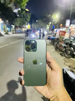 Apple iPhone 13 Pro (Used)