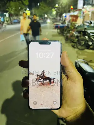 Apple iPhone 13 Pro (Used)