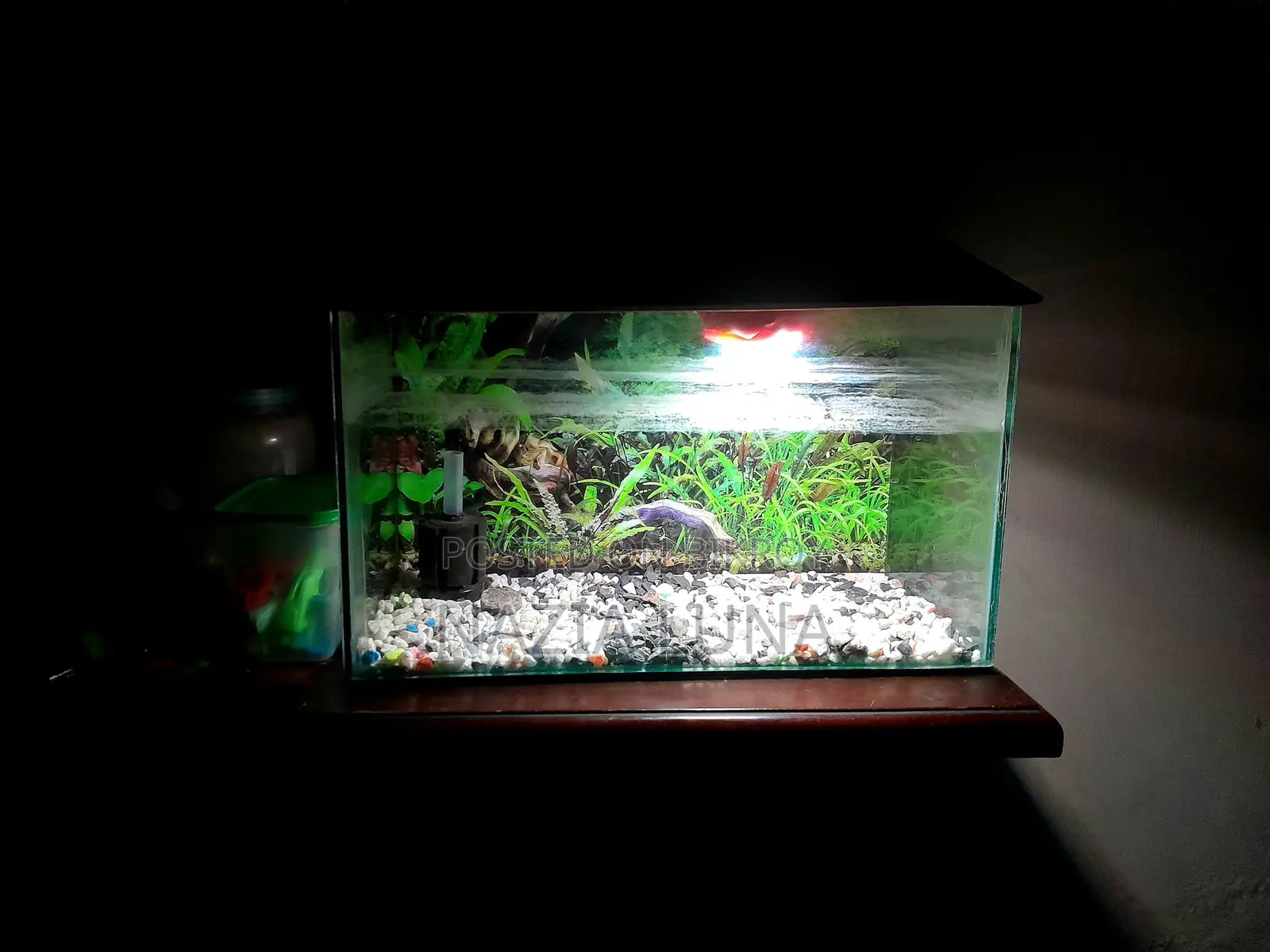 Acuriam 9,18 Inch