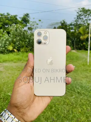 Apple iPhone 12 Pro (Used)