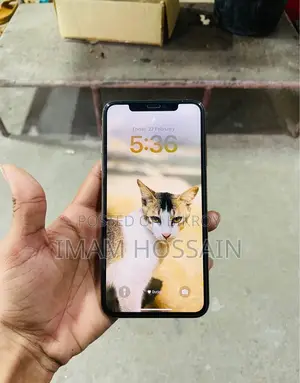 Apple iPhone XS Max (Used)