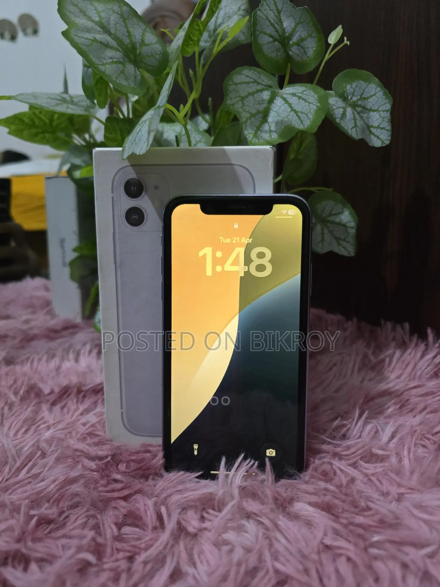 Apple iPhone 11 64 GB (Used)