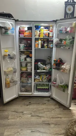Double Door Singer Fridge
