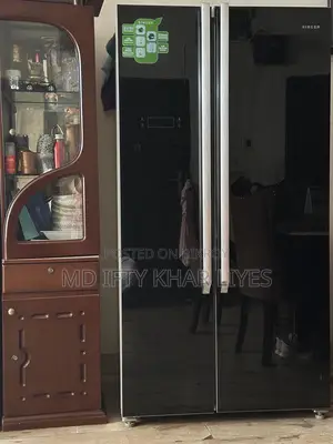 Double Door Singer Fridge