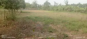 Sale 5 Katha Corner Plot in Dhaka Village