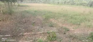 Sale 5 Katha Corner Plot in Dhaka Village