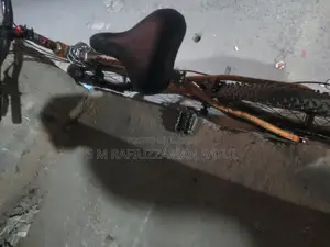 Marine 24 Inches Bicycle