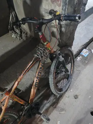 Marine 24 Inches Bicycle