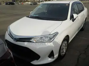 Toyota Axio EX 2021