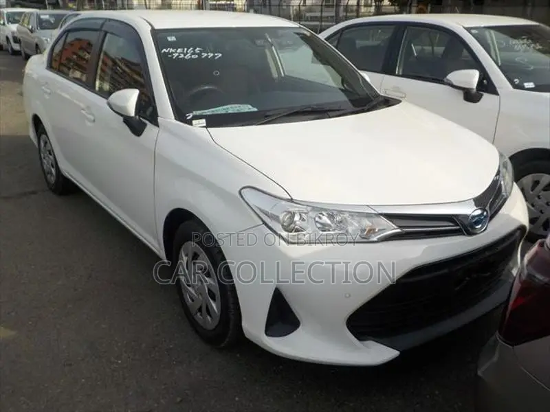 Toyota Axio EX 2021