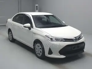 Toyota Axio EX (4.5 POINT) 2021